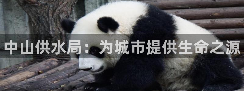 球友会体育app官方版下载安装最新